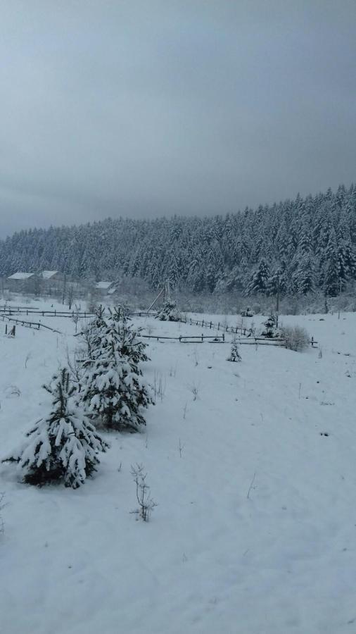 Котедж “Гуркало" Korchin Exteriér fotografie